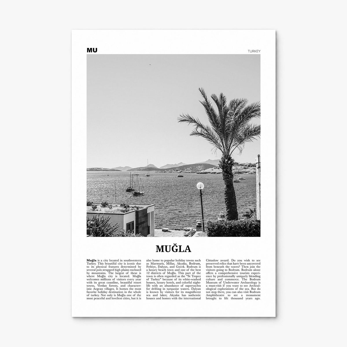 Muğla Newspaper Poster, print only (unframed)