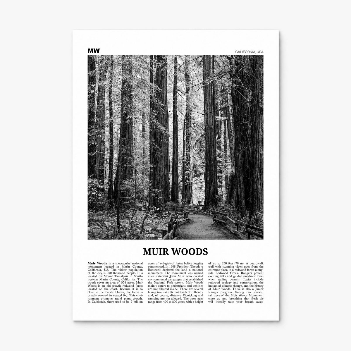 Muir Woods National Monument Newspaper Poster, print only (unframed)