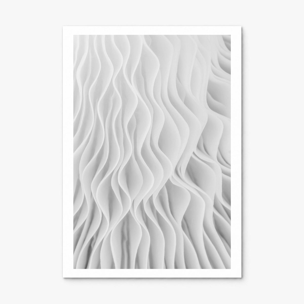 Mushroom Closeup Photo No 1 Poster, print only (unframed), white border
