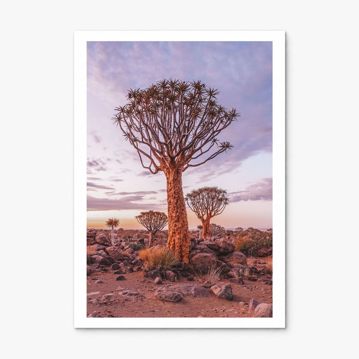Namibia Photo Poster, print only (unframed), white border