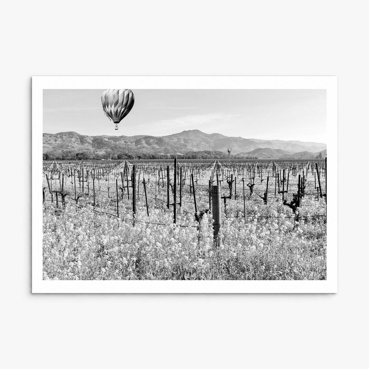 Napa Valley Photo Poster, print only (unframed), white border