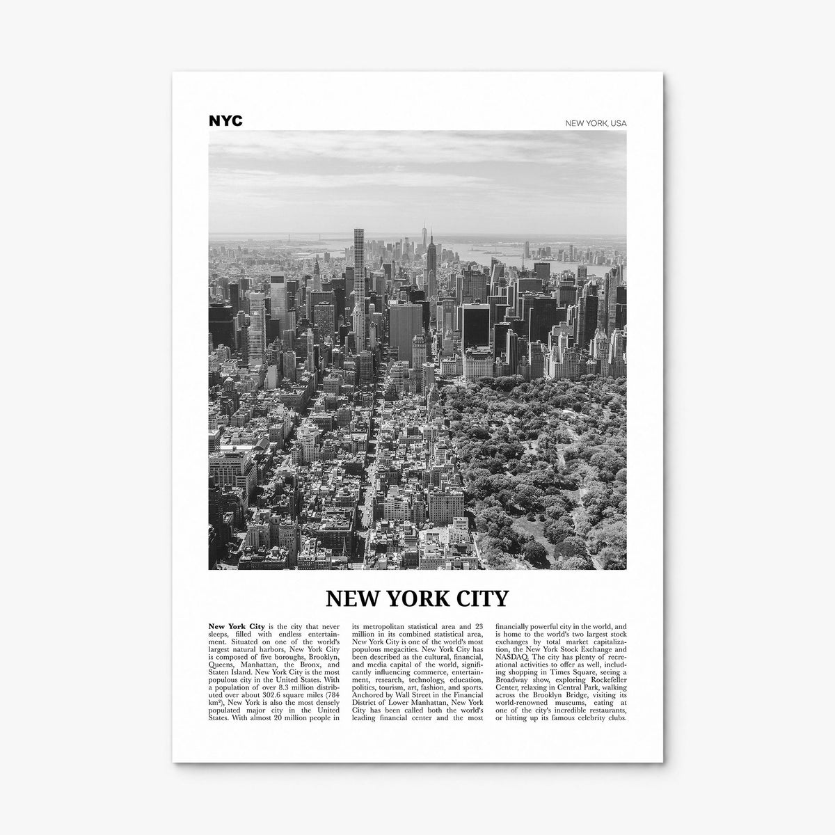 New York City Newspaper No 3 Poster, print only (unframed)