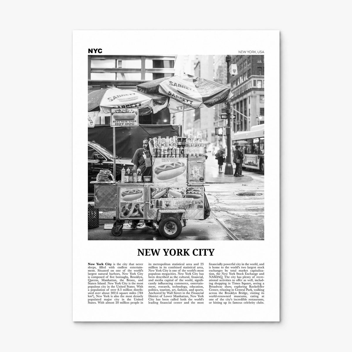 New York City Newspaper No 5 Poster, print only (unframed)