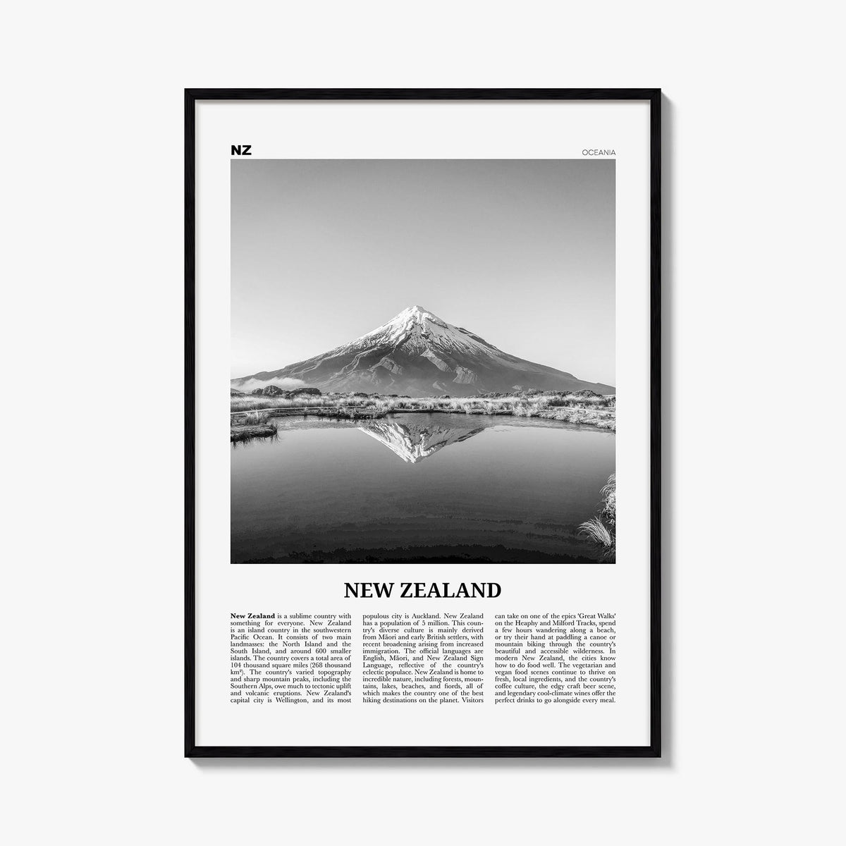 New Zealand Newspaper No 3 Poster