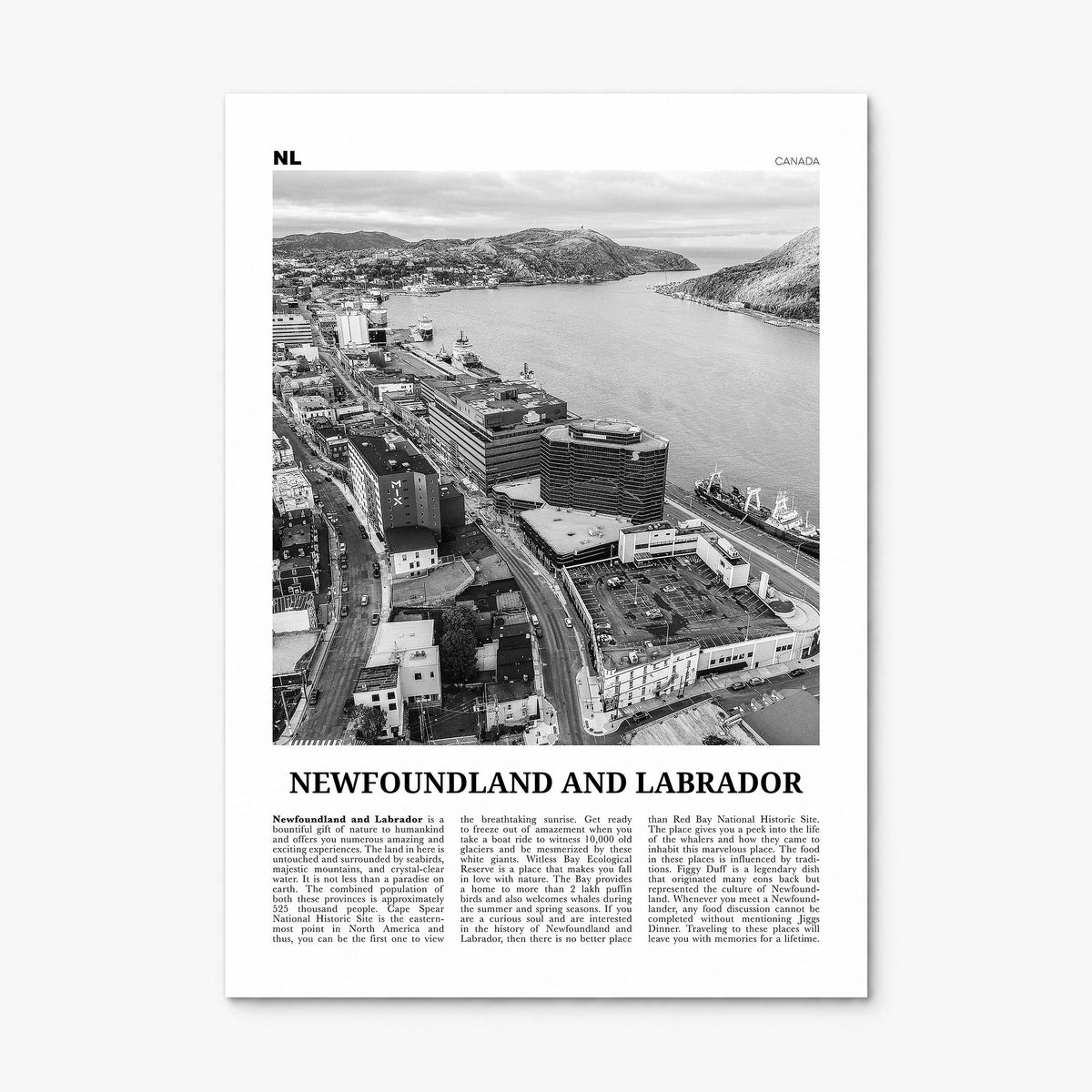 Newfoundland and Labrador Newspaper Poster, print only (unframed)