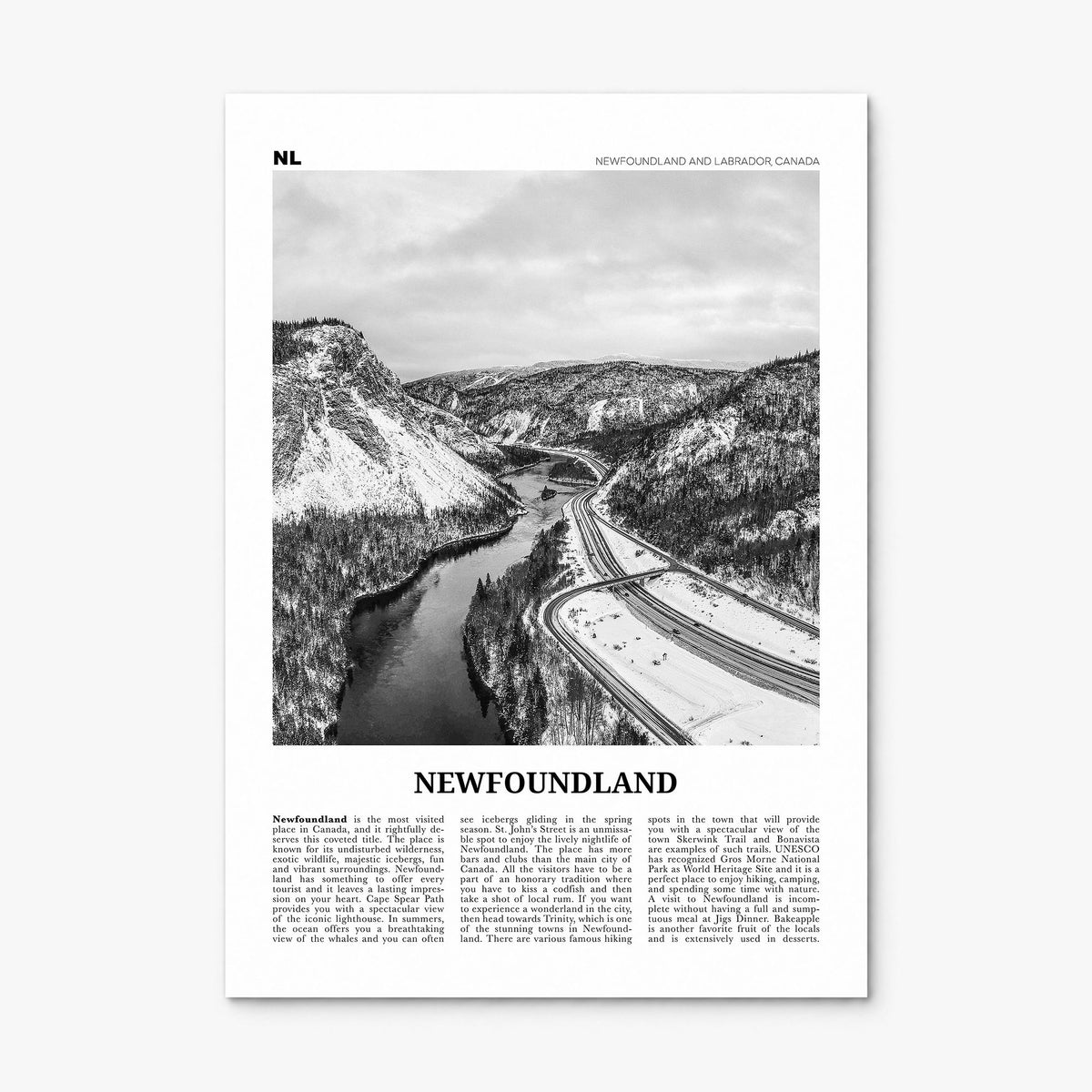 Newfoundland Newspaper Poster, print only (unframed)