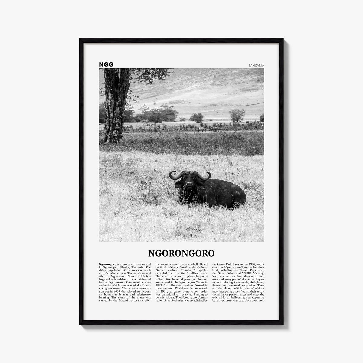 Ngorongoro black & white newspaper poster of Tanzania – vertical wall art, unframed print shown in interior mockup