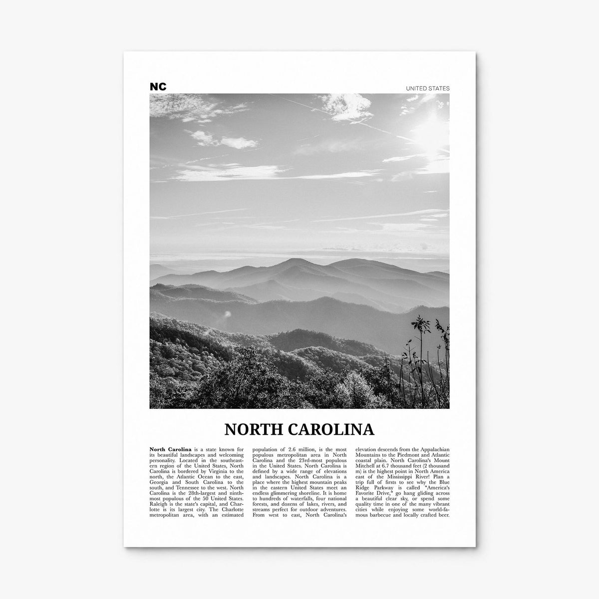 North Carolina Newspaper No 2 Poster, print only (unframed)