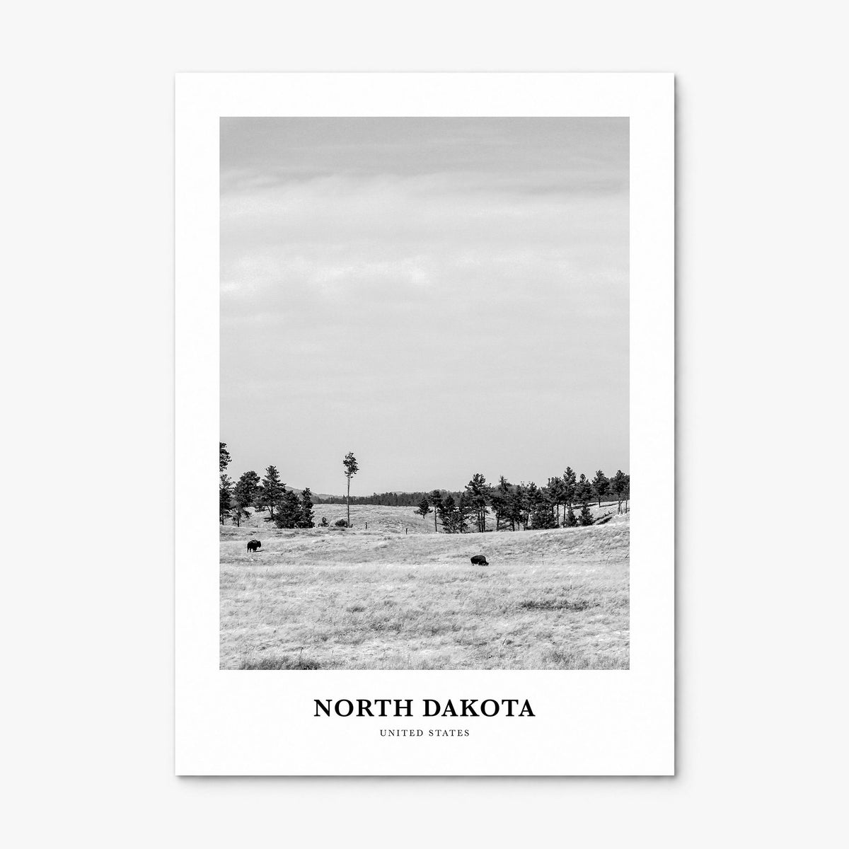 North Dakota Classic Poster, print only (unframed)