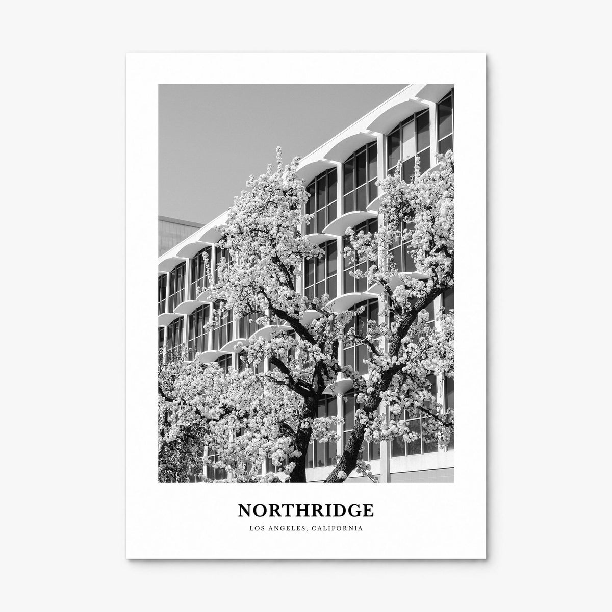 Northridge Classic Poster, print only (unframed)