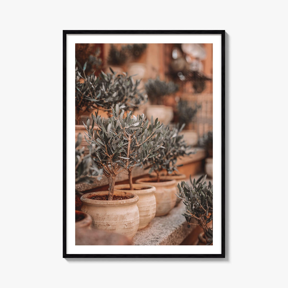 Olive Trees in Clay Pots colorful photo poster – vertical wall art, unframed print shown in interior mockup