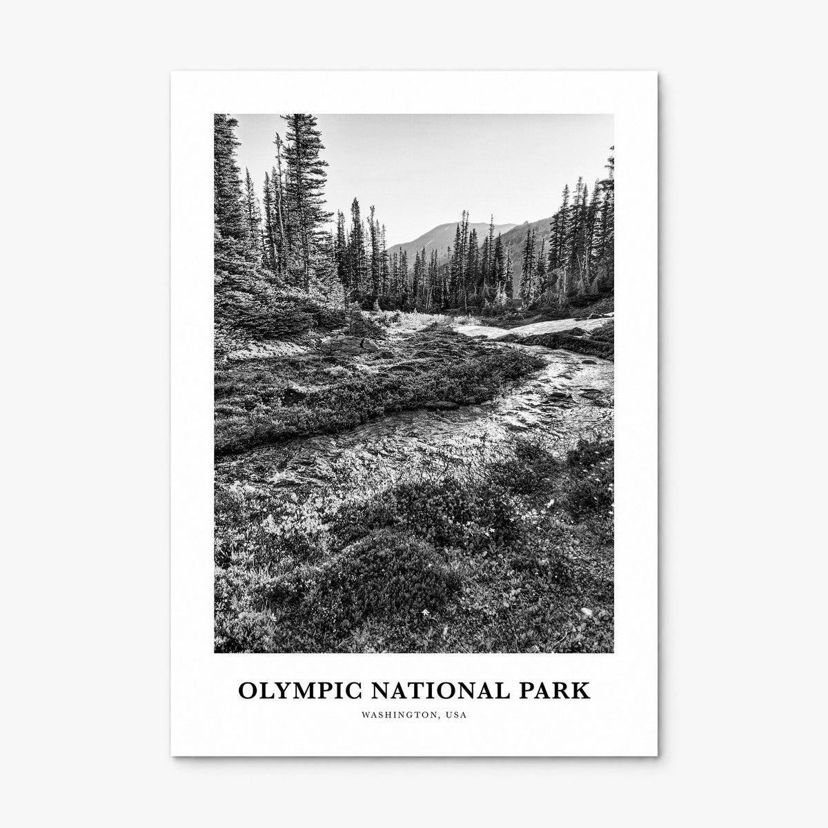Olympic National Park Classic Poster, print only (unframed)