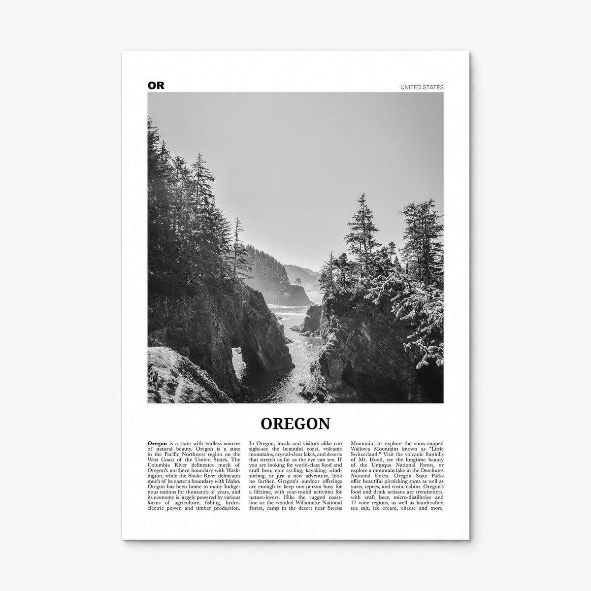 Oregon Newspaper No 1 Poster, print only (unframed)