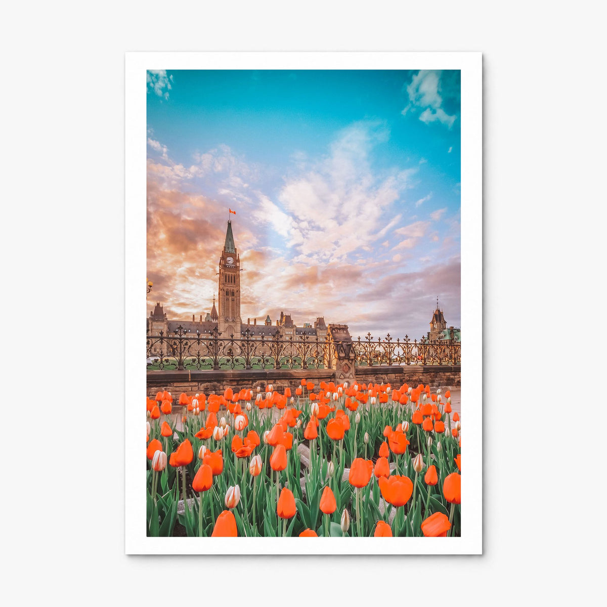 Ottawa Photo No 2 Poster, print only (unframed), white border