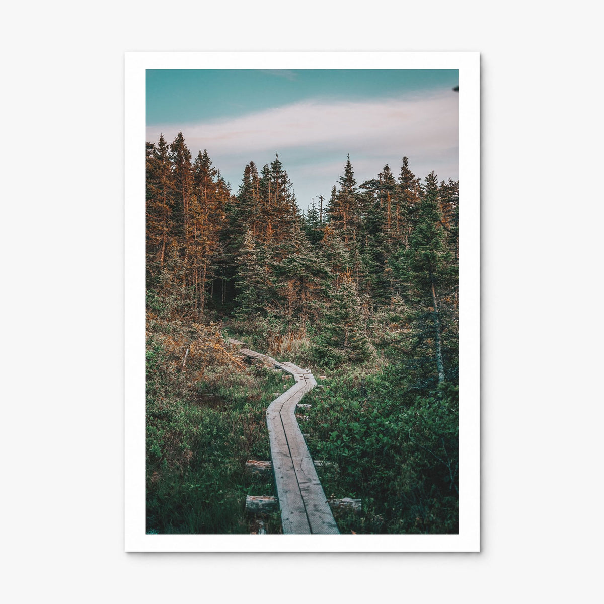 Outer Cove Photo Poster, print only (unframed), white border