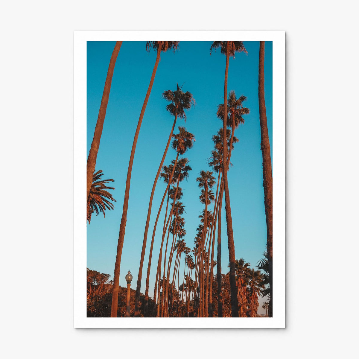 Pacific Palisades Photo No 2 Poster, print only (unframed), white border