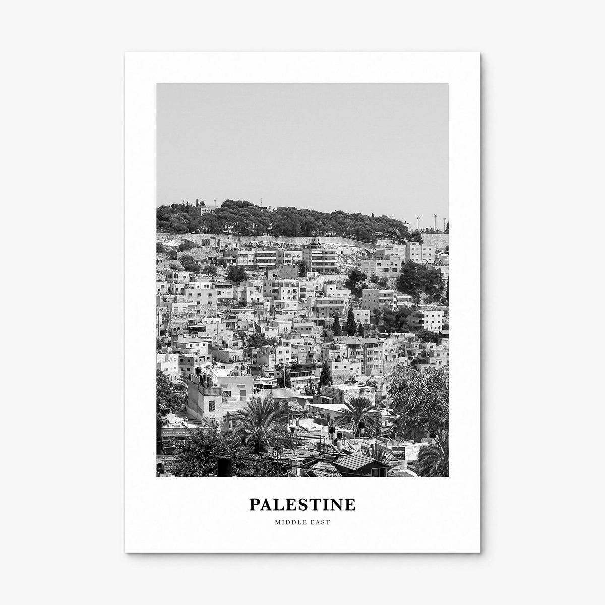 Palestine Classic No 2 Poster, print only (unframed)