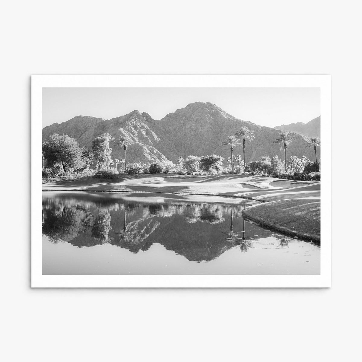 Palm Desert Photo Poster, print only (unframed), white border