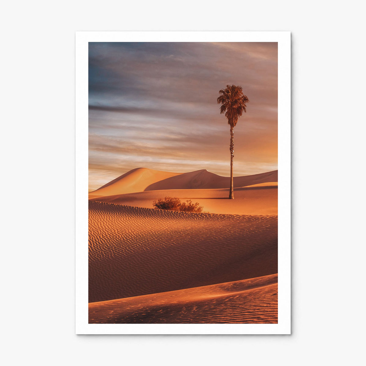Palm Desert Photo Poster, print only (unframed), white border