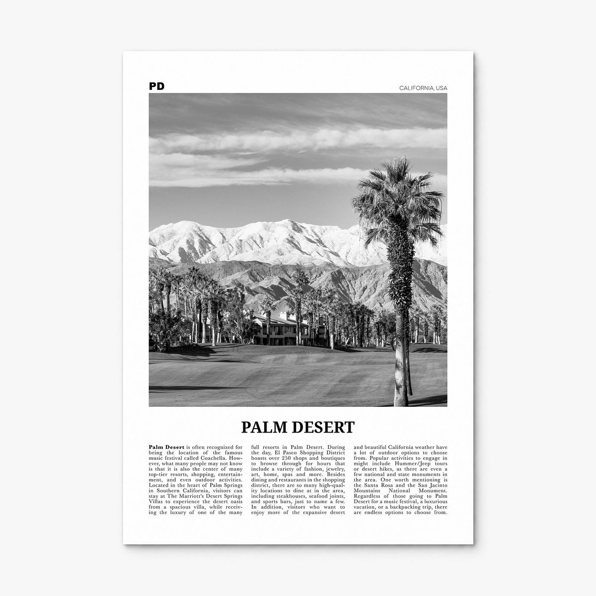Palm Desert Newspaper Poster, print only (unframed)