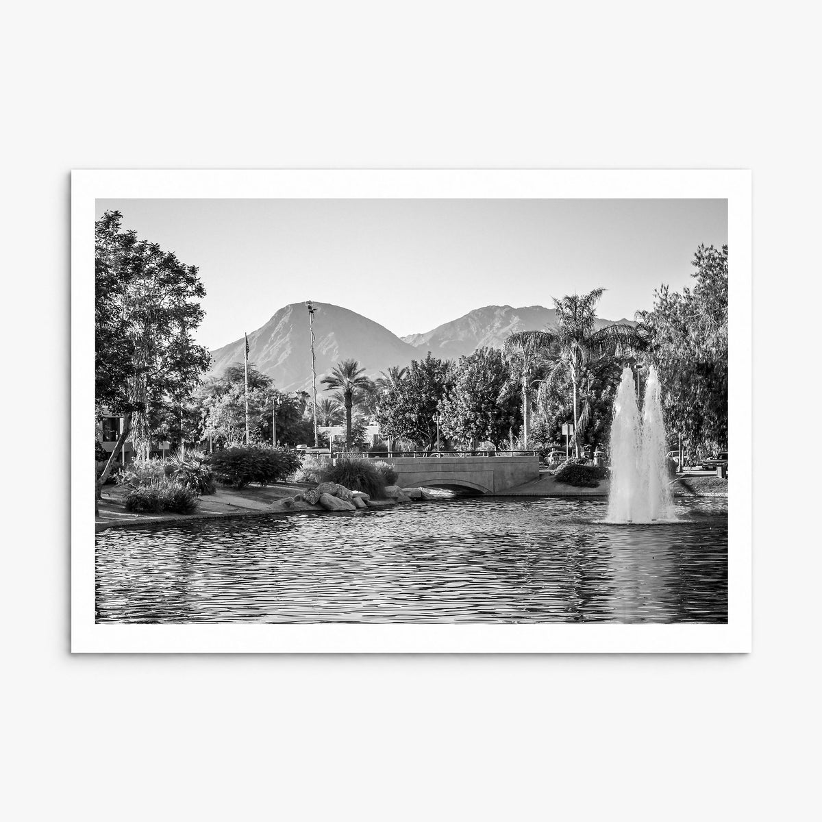 Palm Springs Photo Poster, print only (unframed), white border