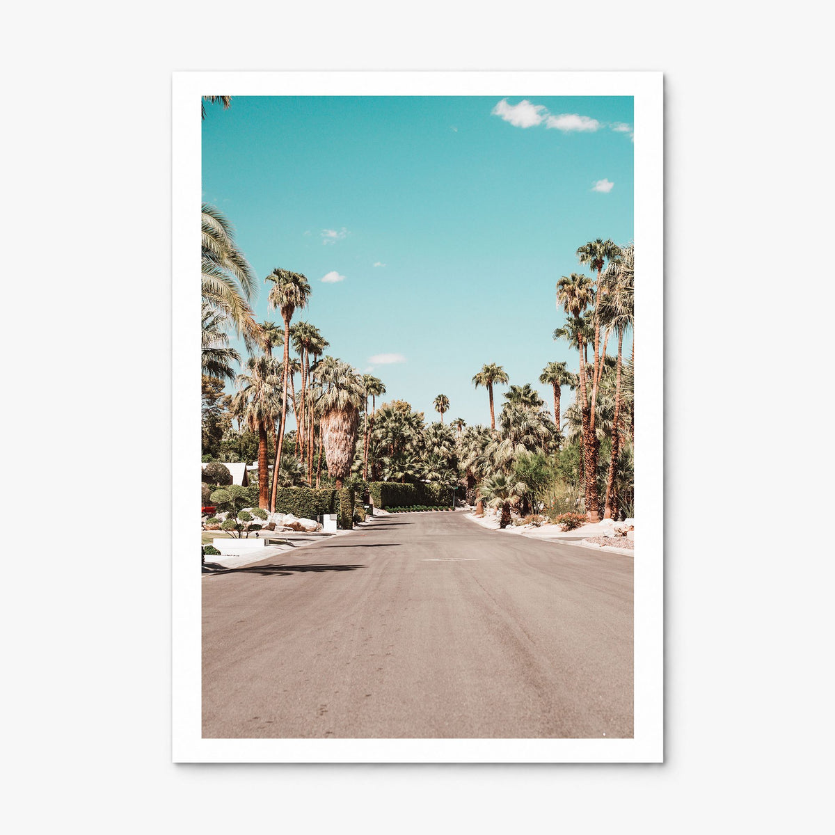 Palm Springs Photo No 1 Poster, print only (unframed), white border