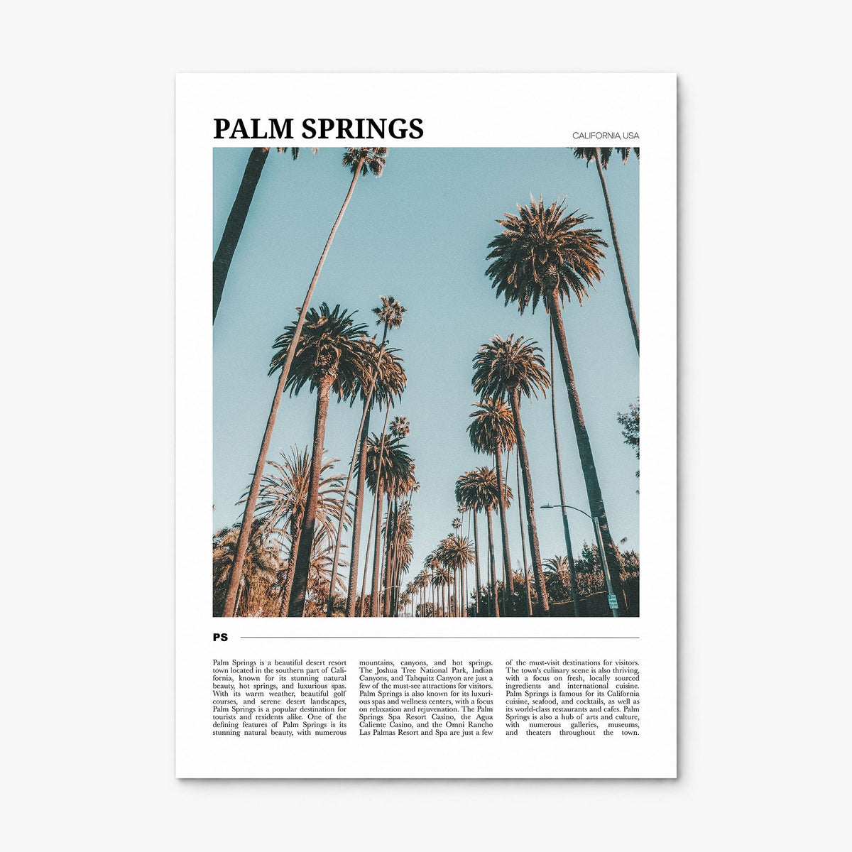 Palm Springs Travel No 1 Poster, print only (unframed)