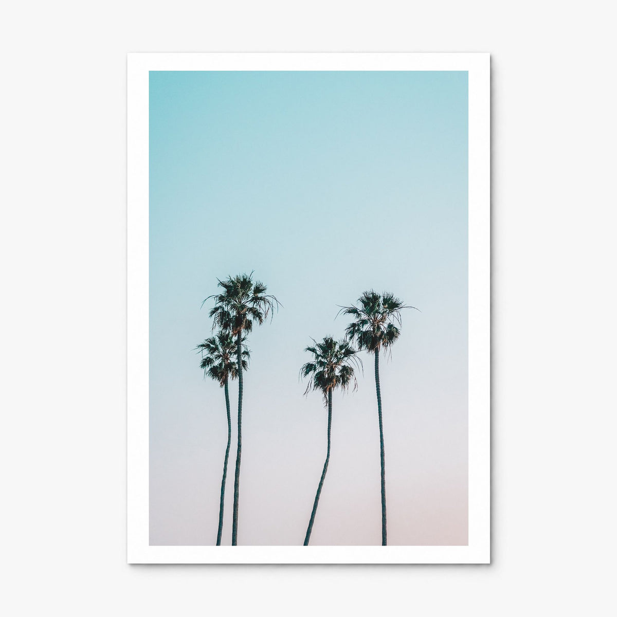 Palm Trees Photo No 1 Poster, print only (unframed), white border