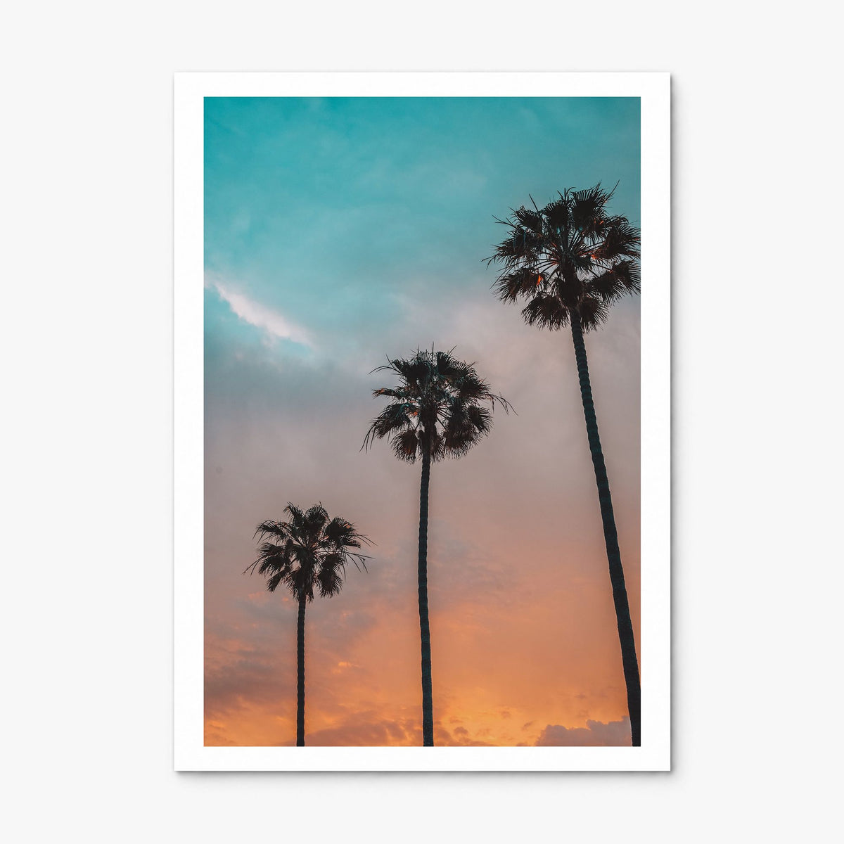 Palm Trees Photo No 9 Poster, print only (unframed), white border