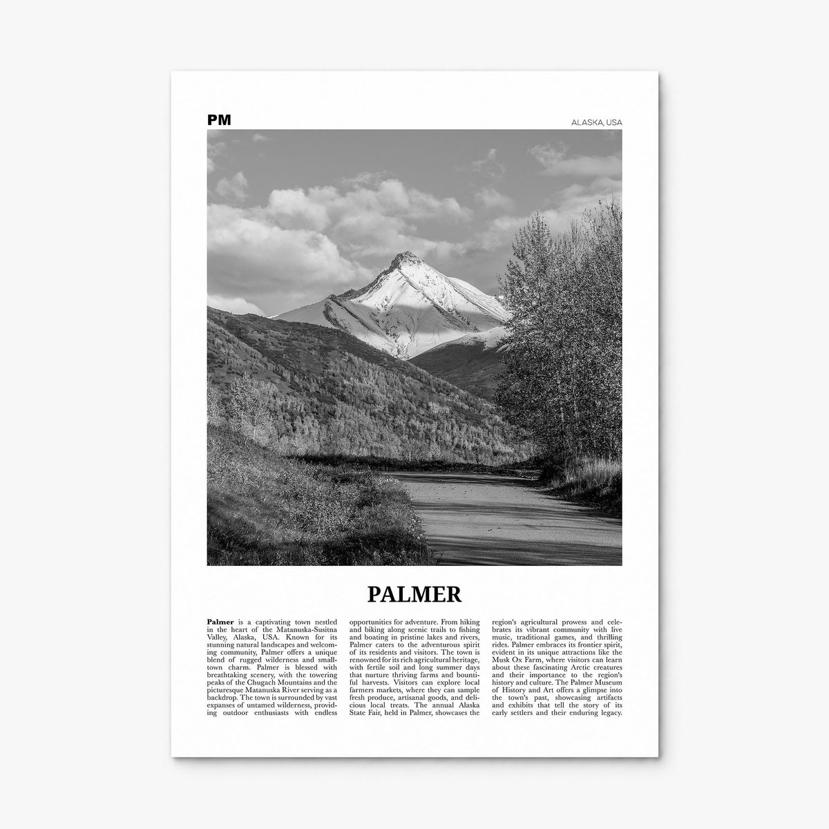 Palmer Newspaper Poster, print only (unframed)