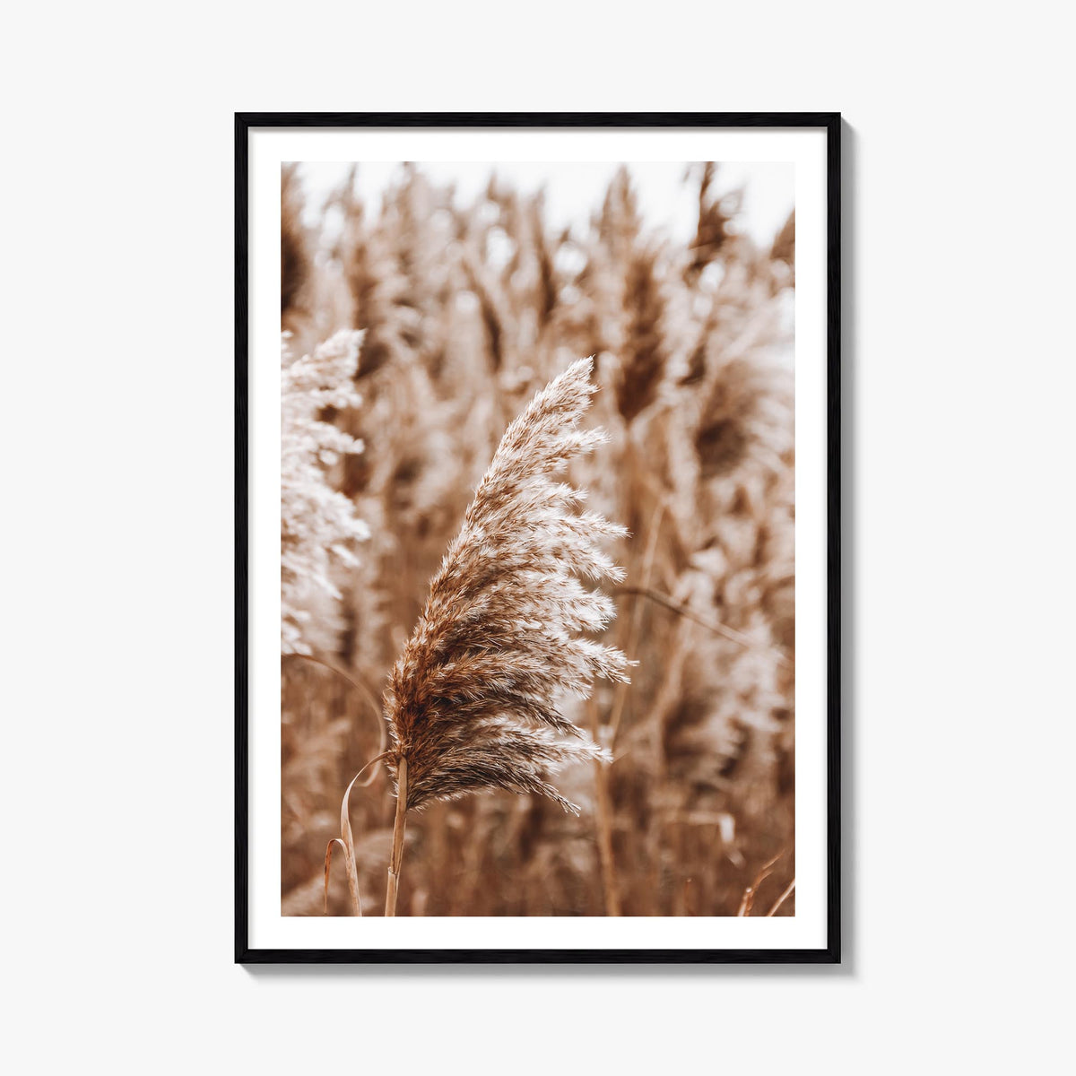 Pampas Grass no. 3 colorful photo poster – vertical wall art, unframed print shown in interior mockup