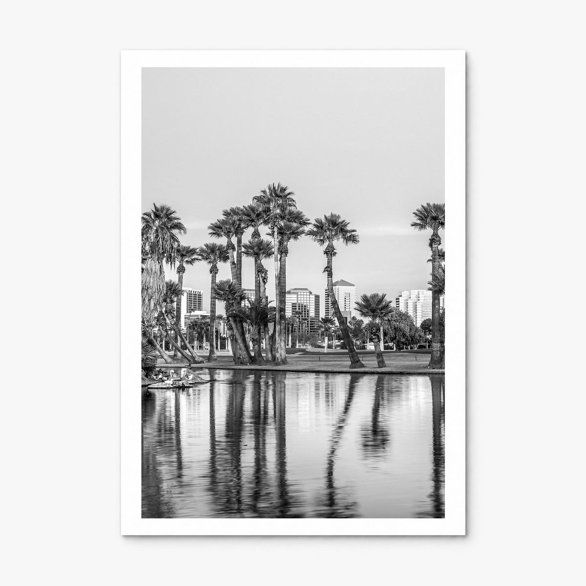 Phoenix Photo No 2 Poster, print only (unframed), white border