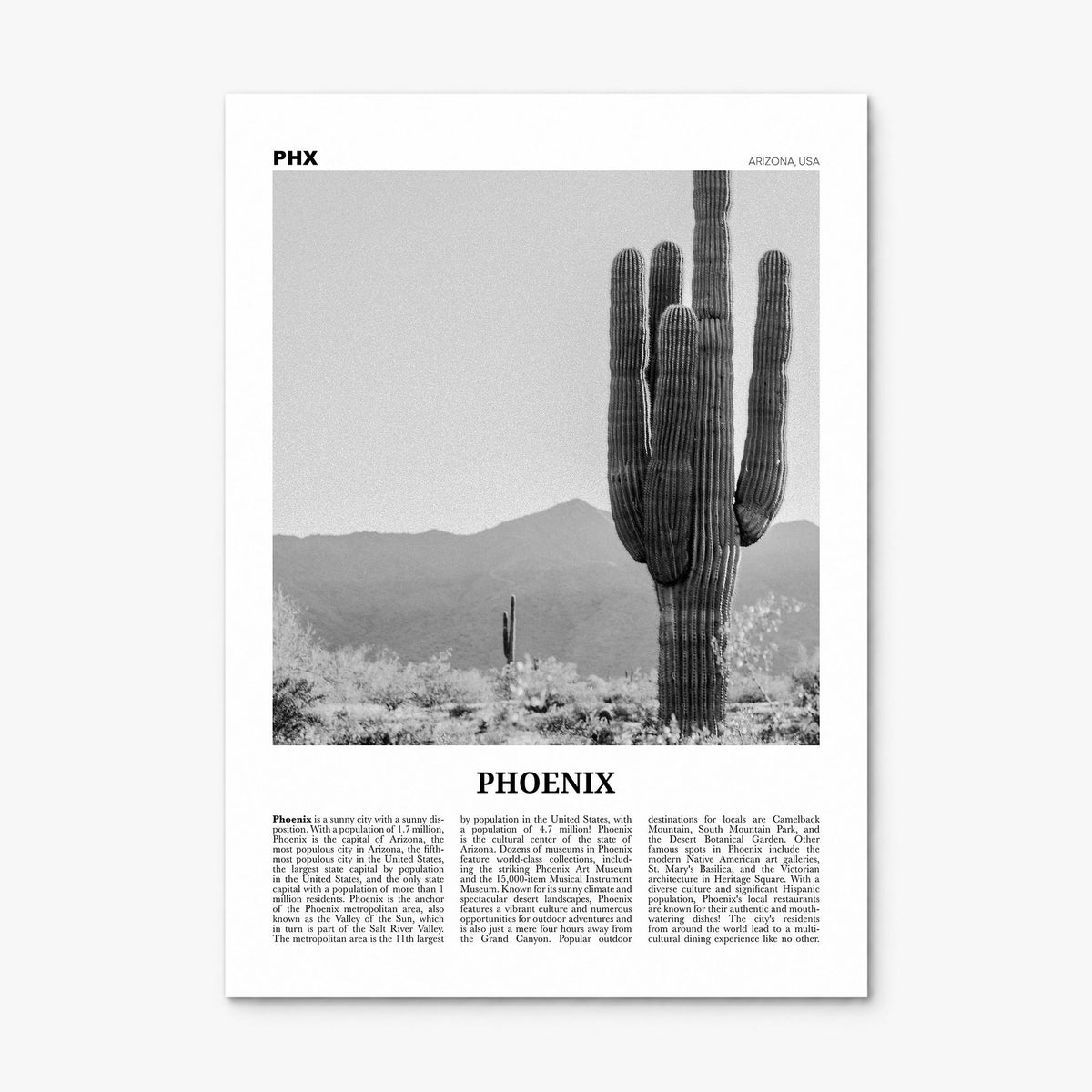 Phoenix Newspaper No 3 Poster, print only (unframed)