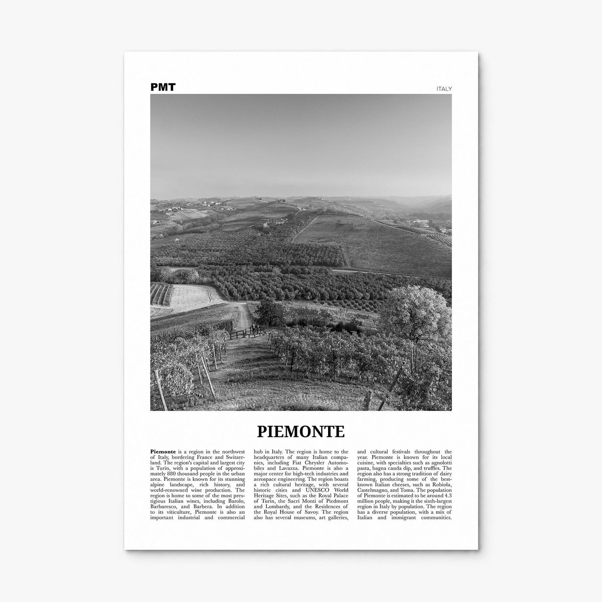 Piemonte Newspaper Poster, print only (unframed)