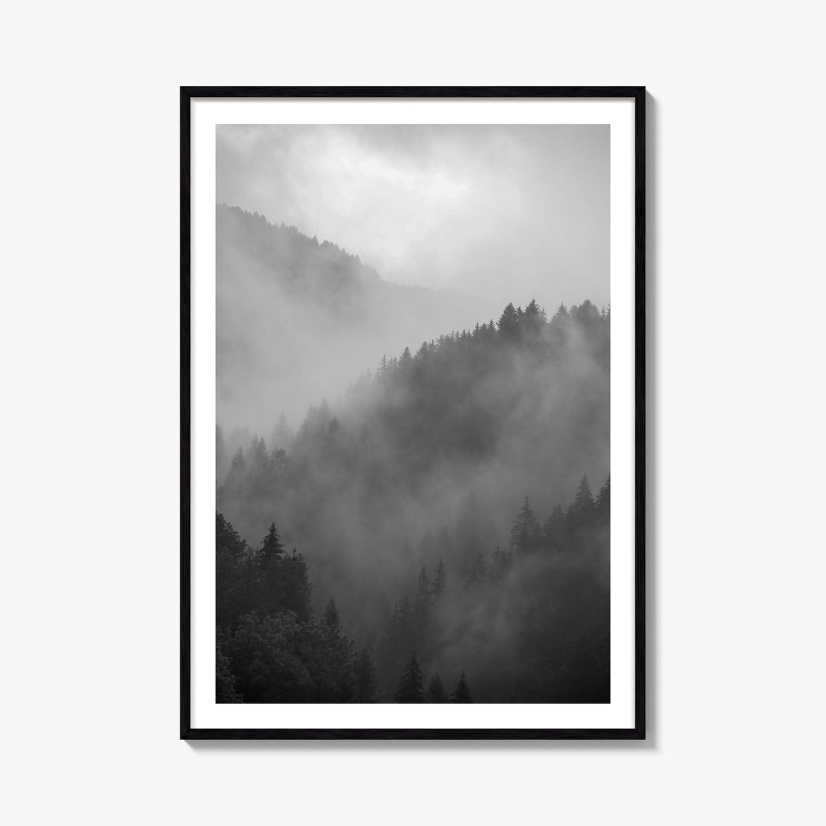 Pine Tree Forest no. 1 black & white photo poster – vertical wall art, unframed print shown in interior mockup