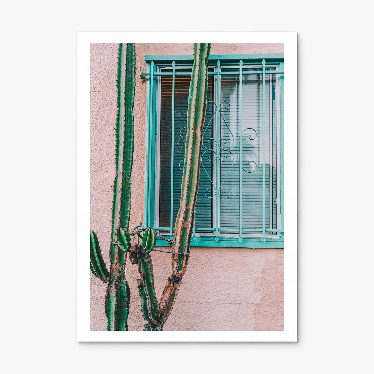 Pink Cactus Photo Poster, print only (unframed), white border