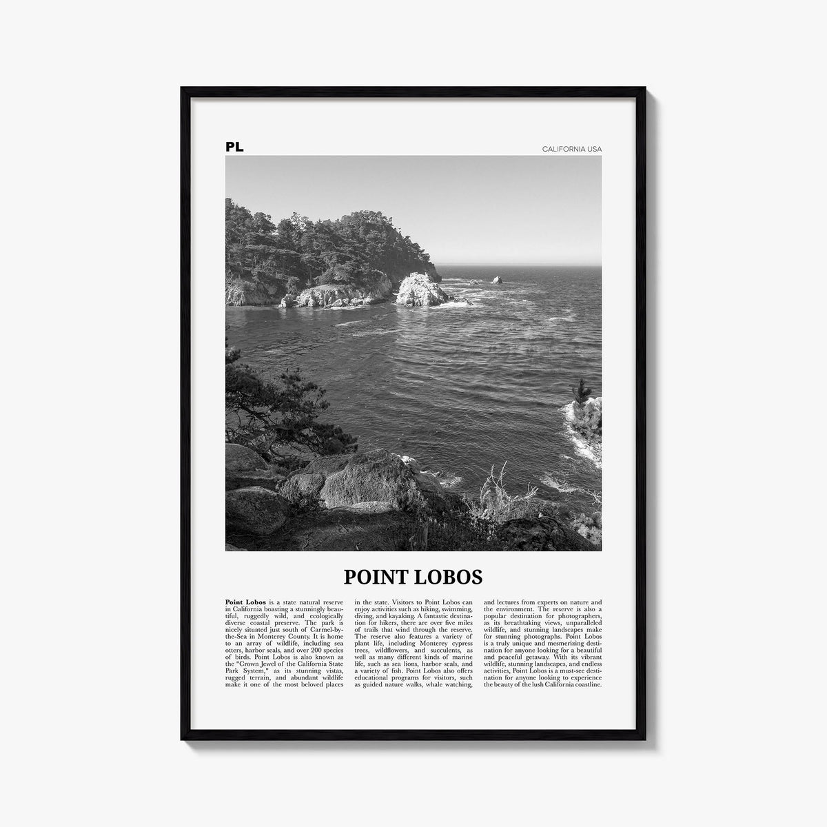 Point Lobos black & white newspaper poster of California, USA – vertical wall art, unframed print shown in interior mockup