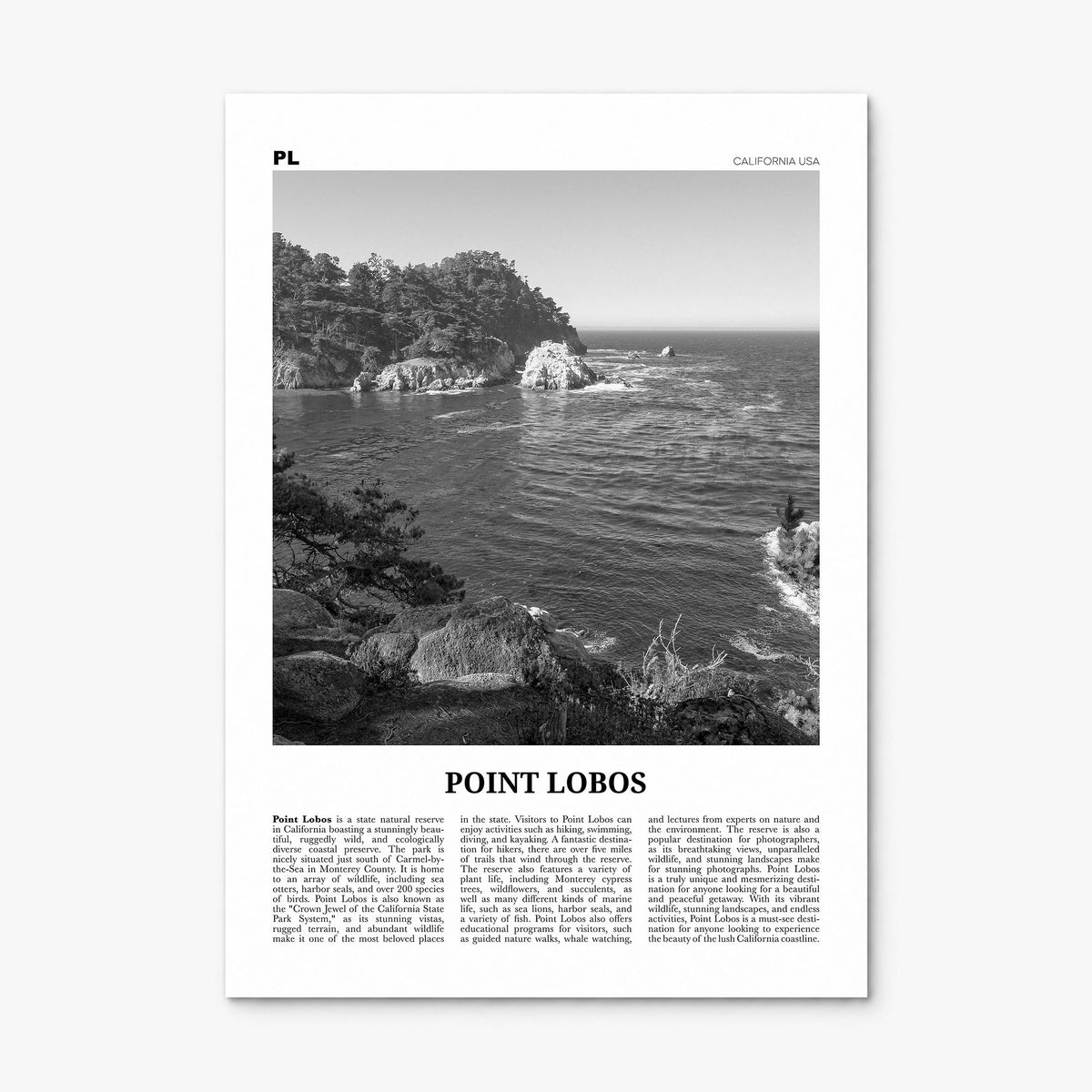 Point Lobos Newspaper Poster, print only (unframed)