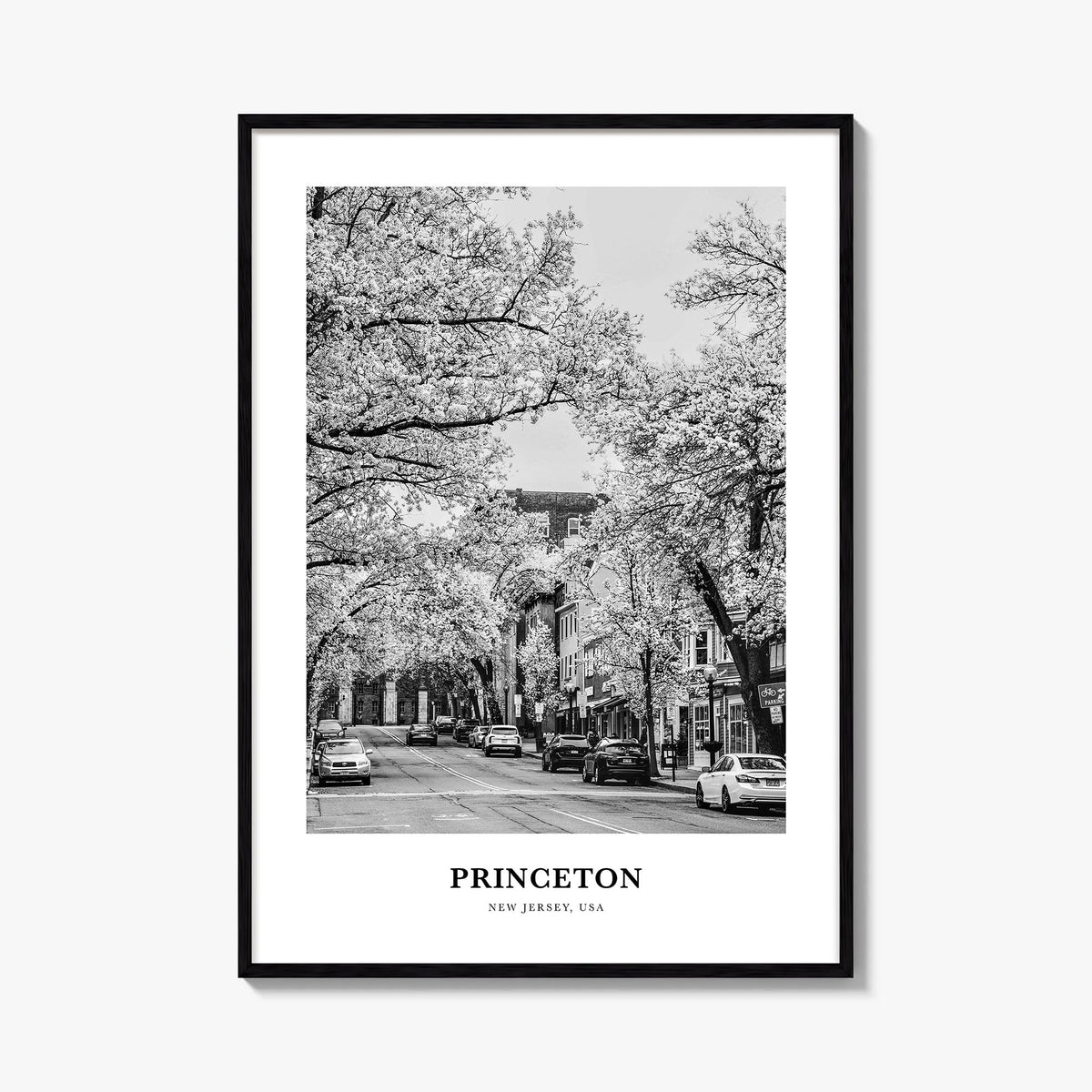 Princeton black & white classic poster of New Jersey, USA – vertical wall art, unframed print shown in interior mockup