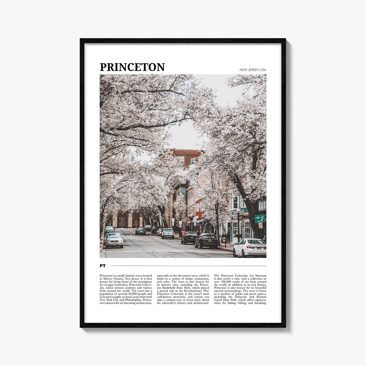 Princeton colorful travel poster of New Jersey, USA – vertical wall art, unframed print shown in interior mockup