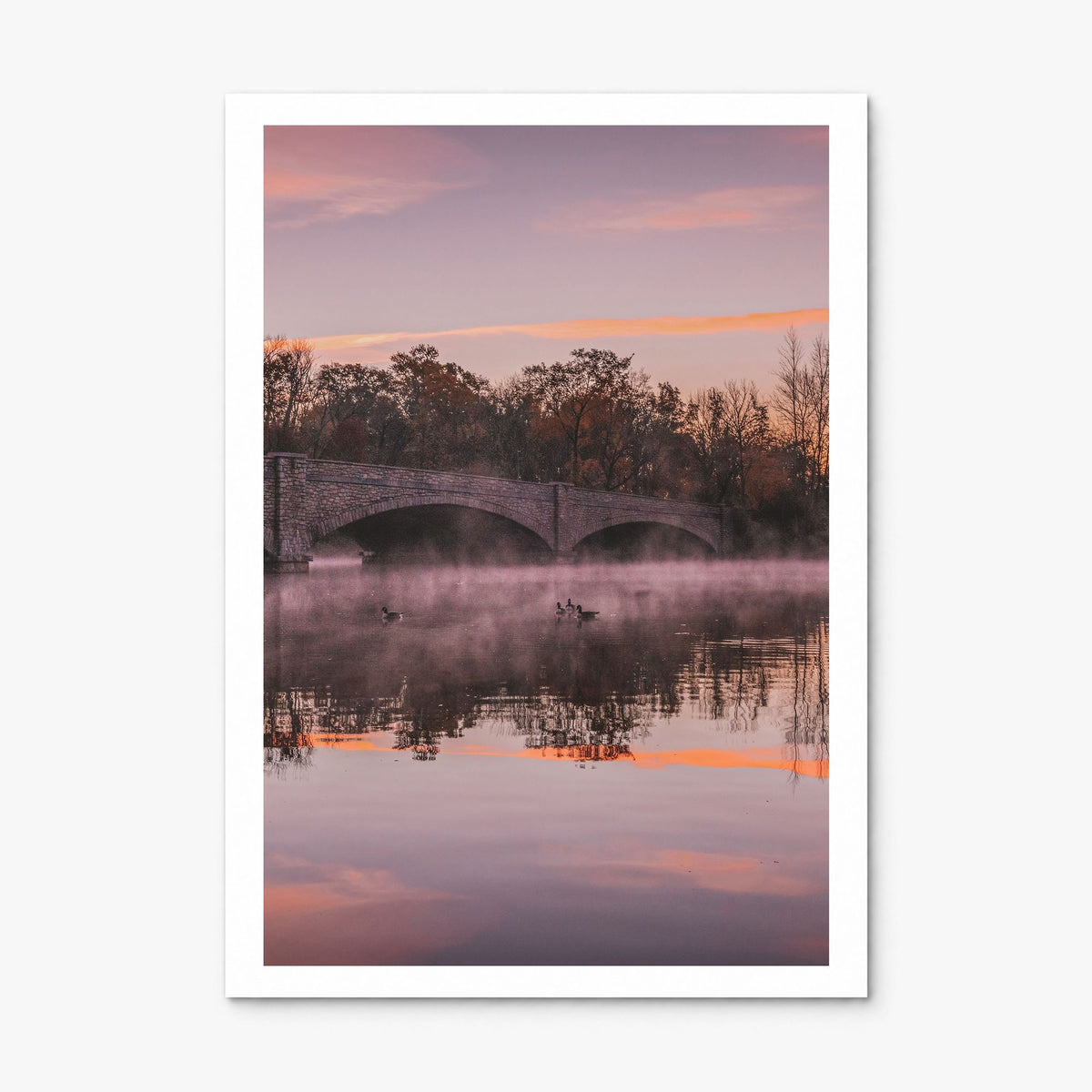 Princeton Photo No 1 Poster, print only (unframed), white border