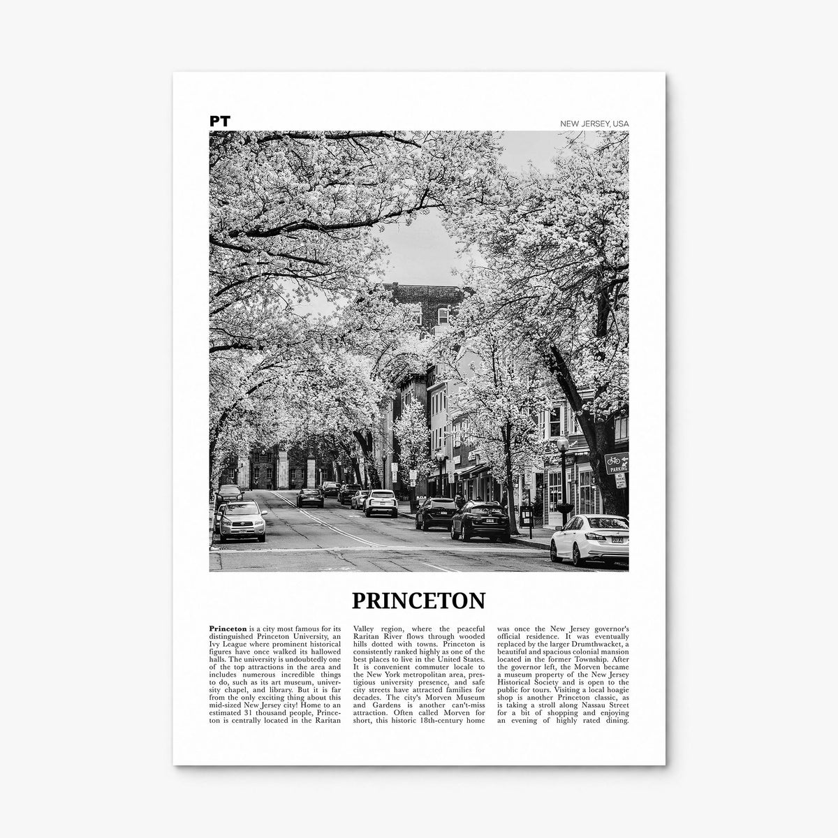 Princeton Newspaper Poster, print only (unframed)