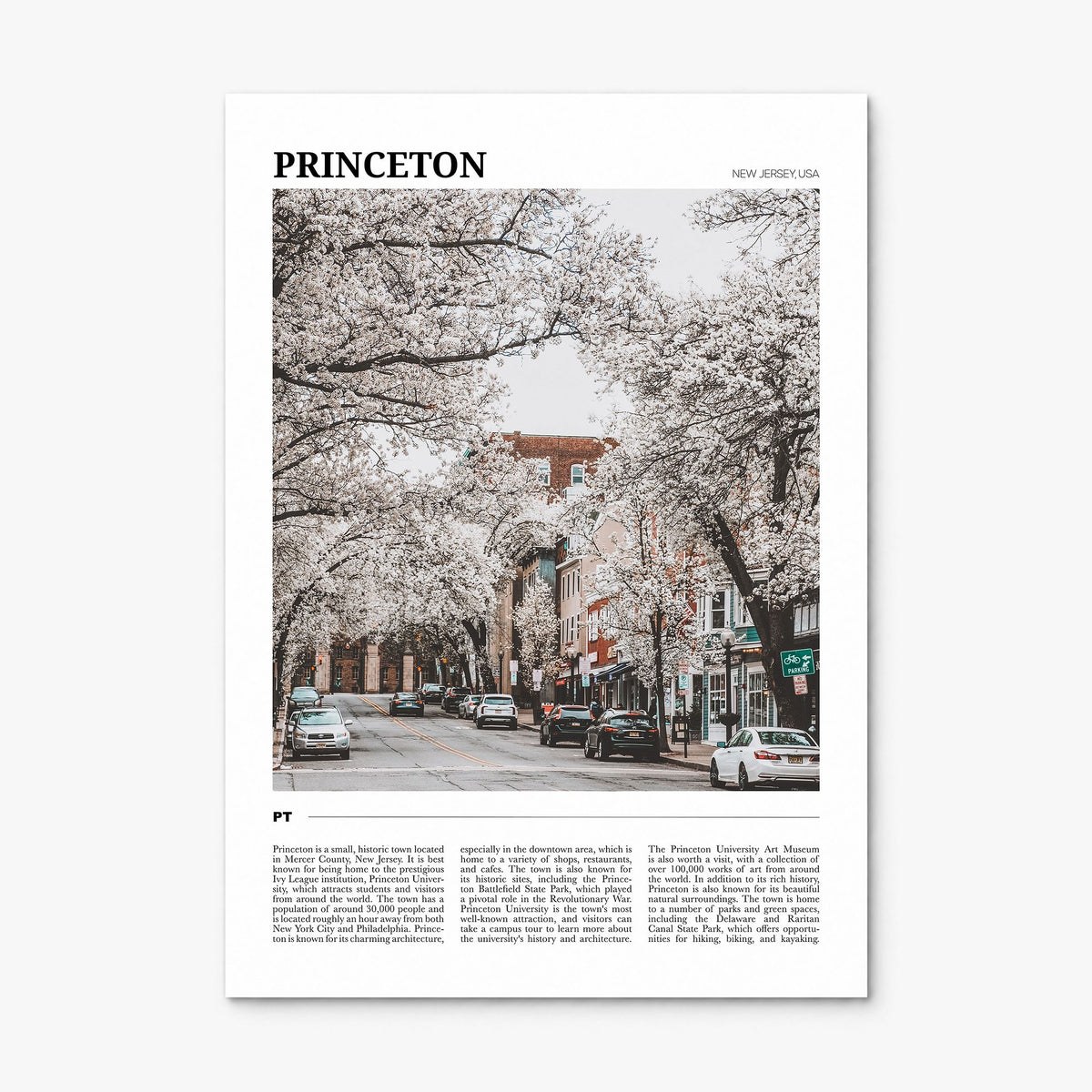 Princeton Travel Poster, print only (unframed)