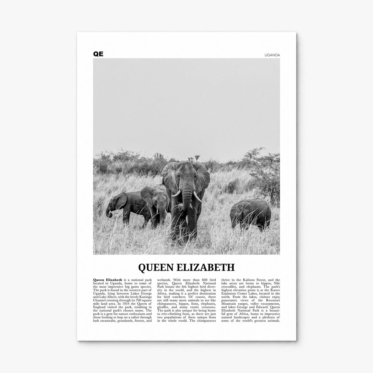 Queen Elizabeth National Park Newspaper Poster, print only (unframed)
