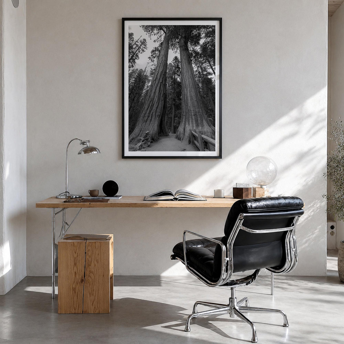 Redwood National Park black & white photo poster of California, USA – vertical wall art in black wood frame with white border