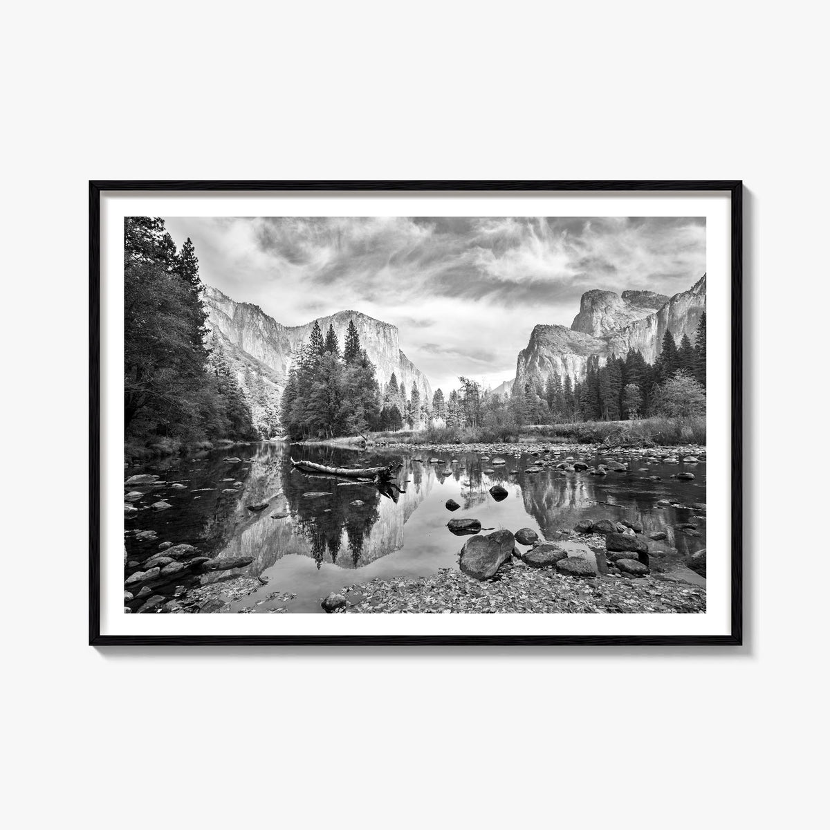 Redwood National Park black & white photo poster of California, USA – horizontal wall art, unframed print shown in interior m