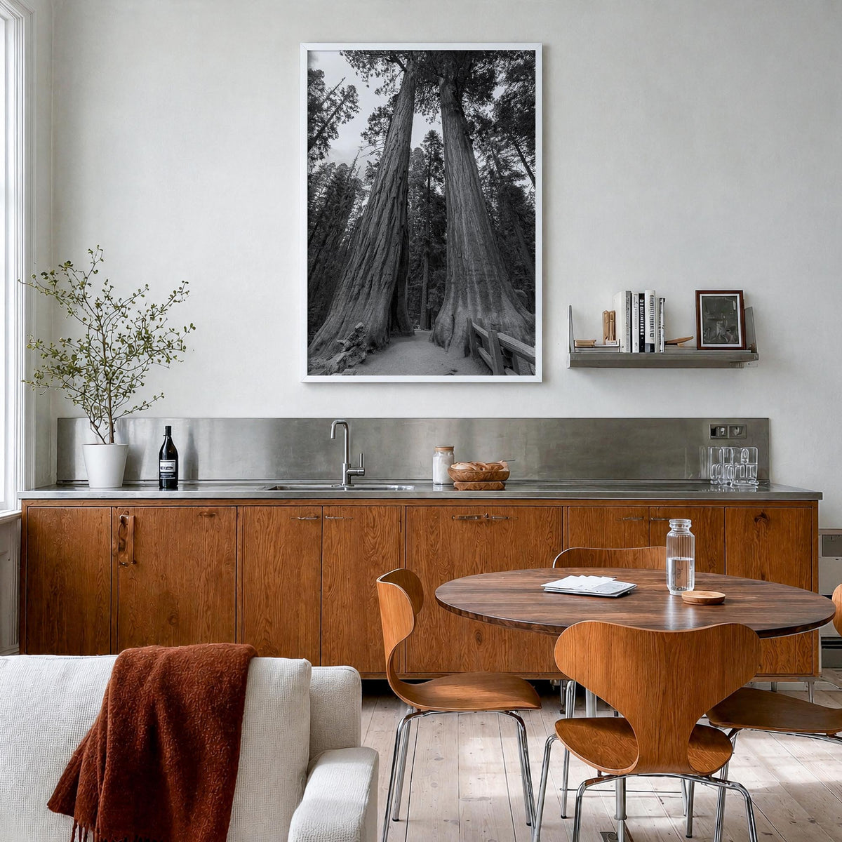 Redwood National Park black & white photo poster of California, USA – vertical wall art in white wood frame, hanging on wall