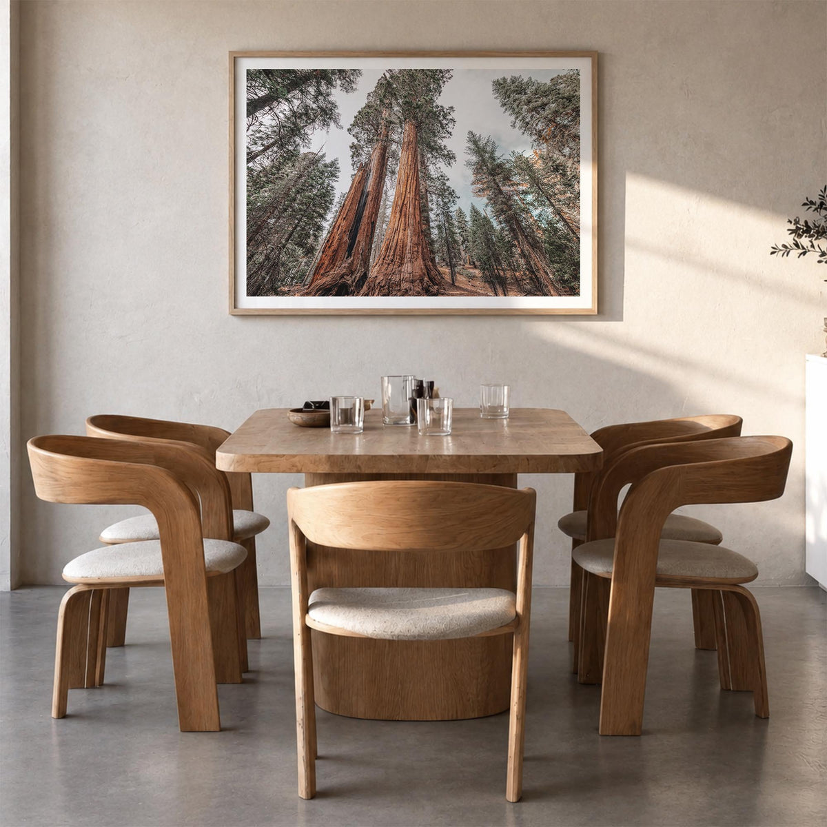 Redwood National Park colorful photo poster of California, USA – horizontal wall art in natural wood frame with white border,