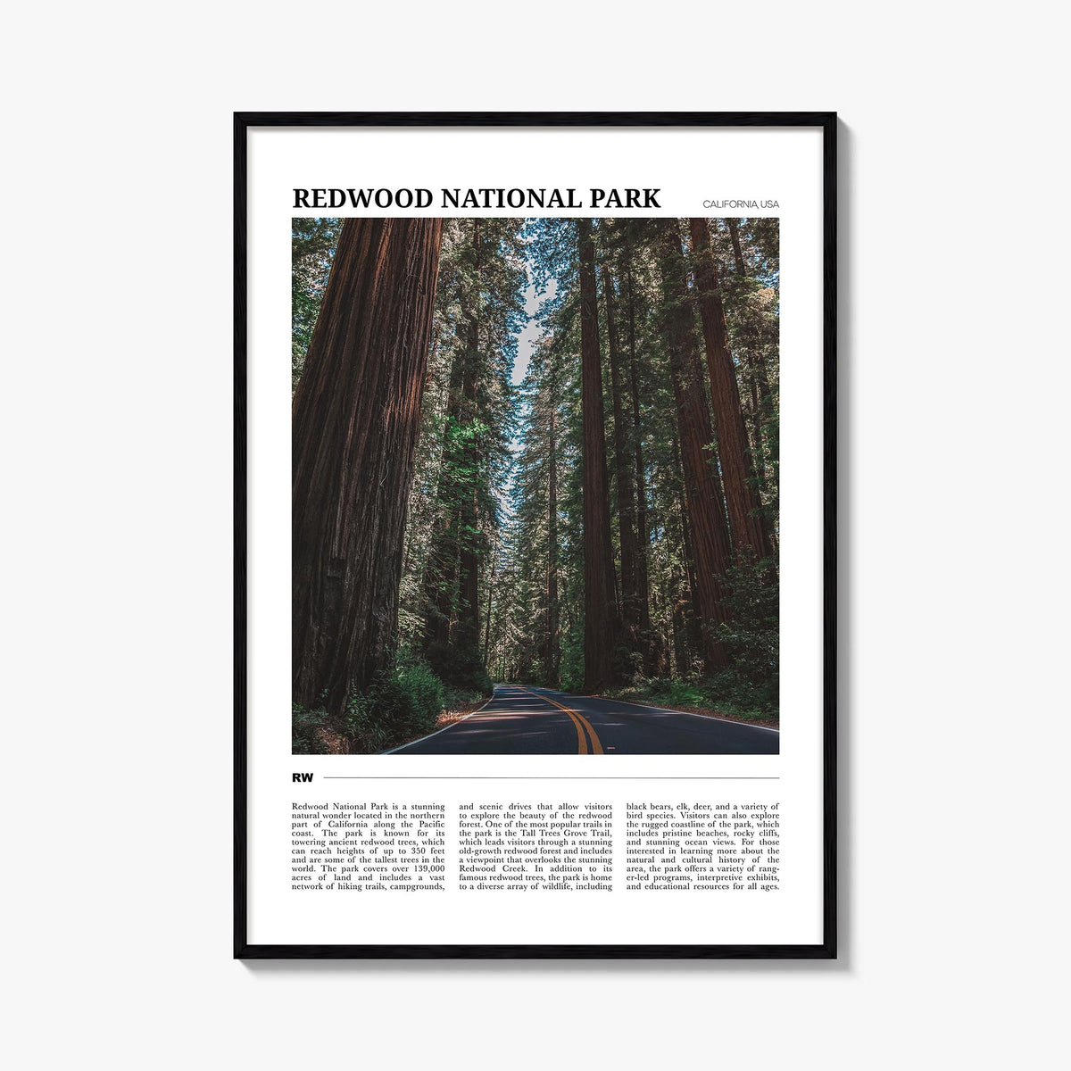 Redwood National Park no. 1 colorful travel poster of California, USA – vertical wall art, unframed print shown in interior m