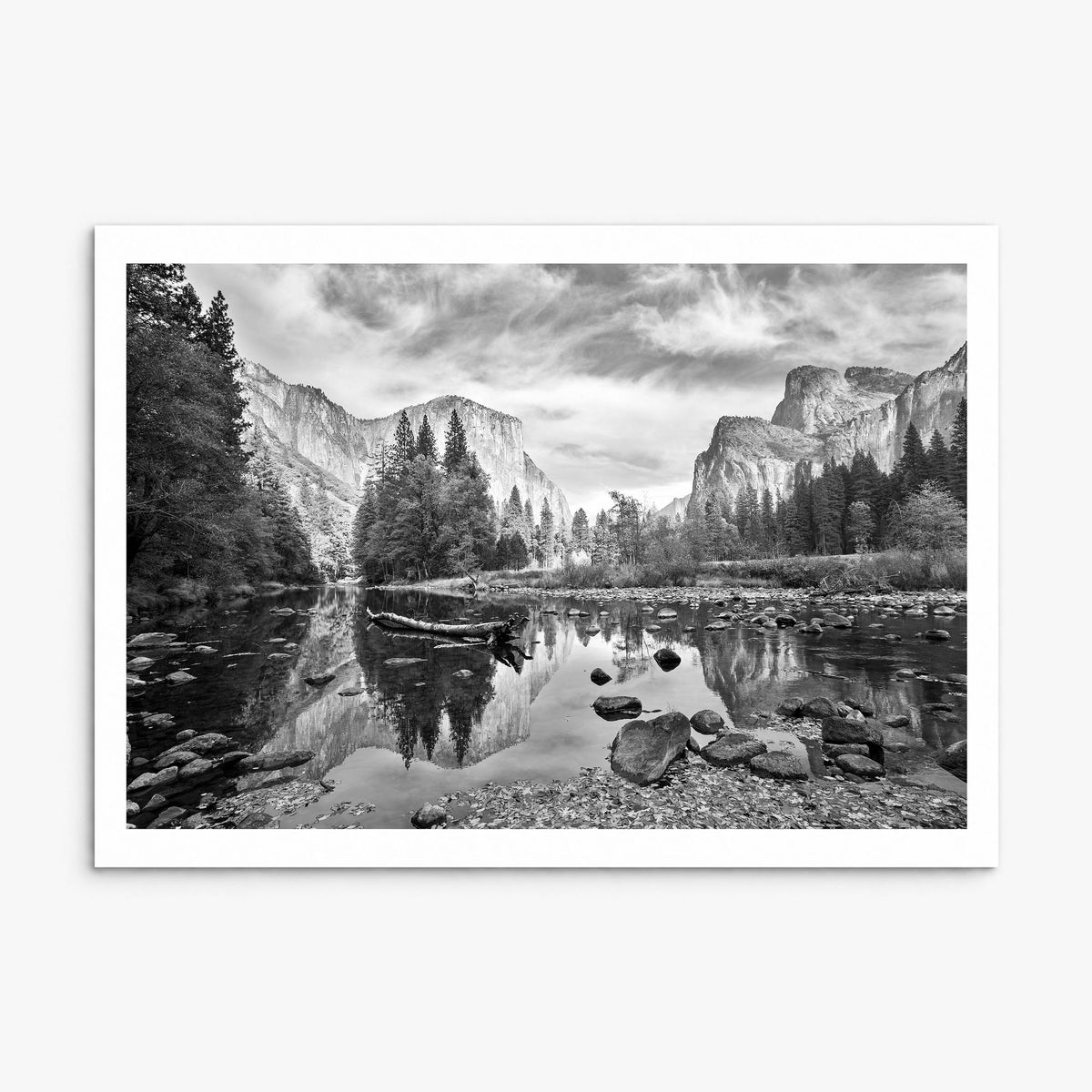Redwood National Park Photo Poster, print only (unframed), white border